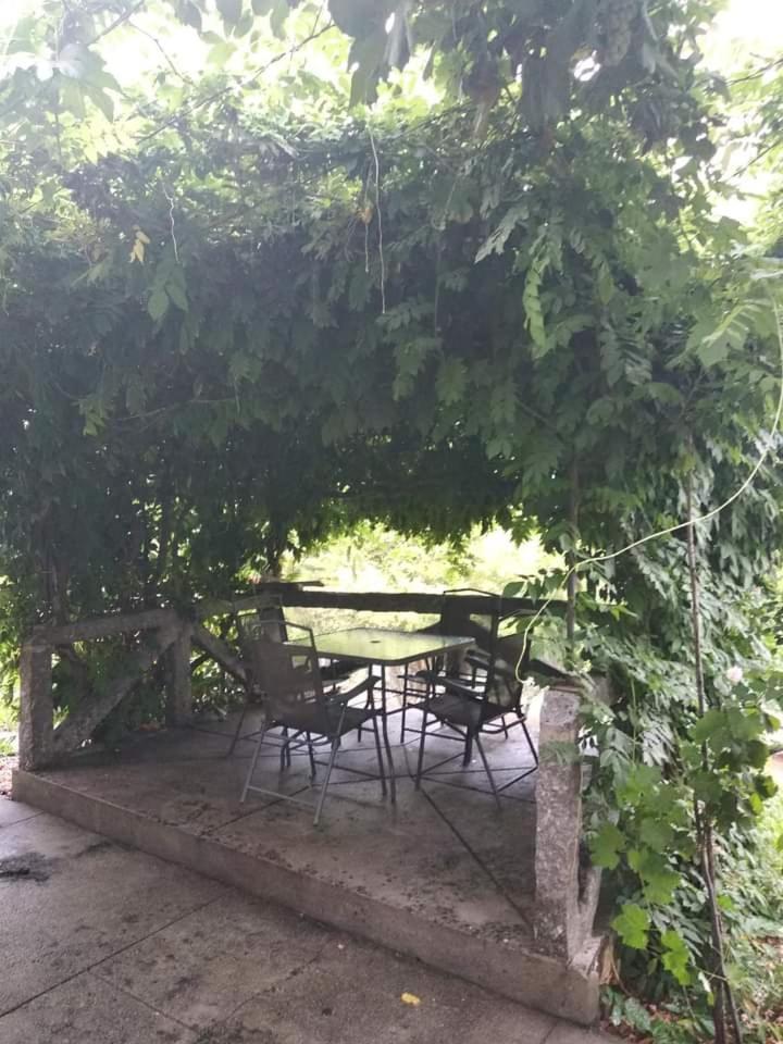 Willa Casa Da Vovo Amarante Pokój zdjęcie
